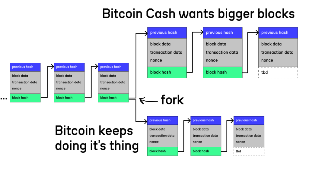 BCH wants bigger blocks
