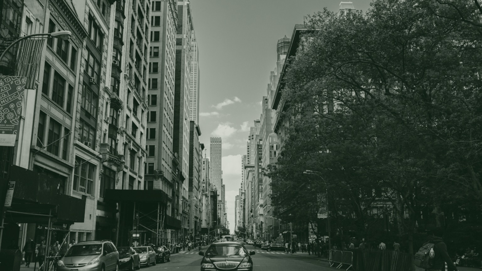 new york duotone